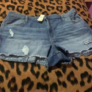 Women’s Xl shorty short denim shorts